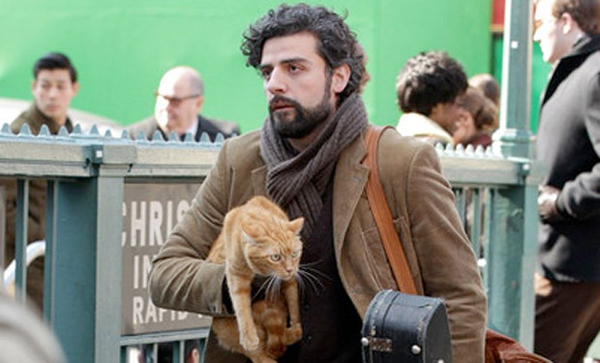 insidellewyndavis